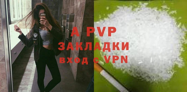шишки Горняк