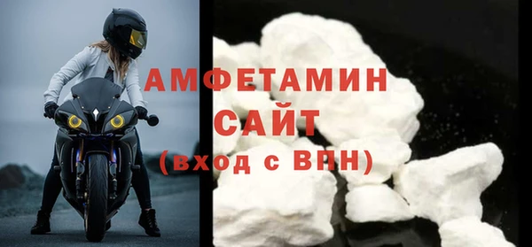 шишки Горняк