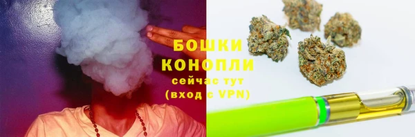 соль ск Вяземский