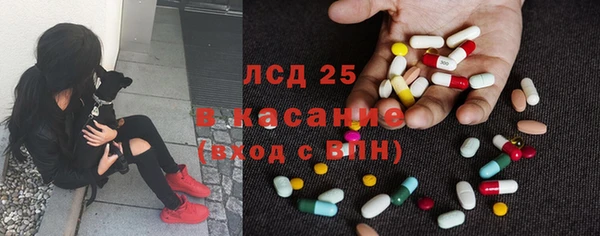 шишки Горняк