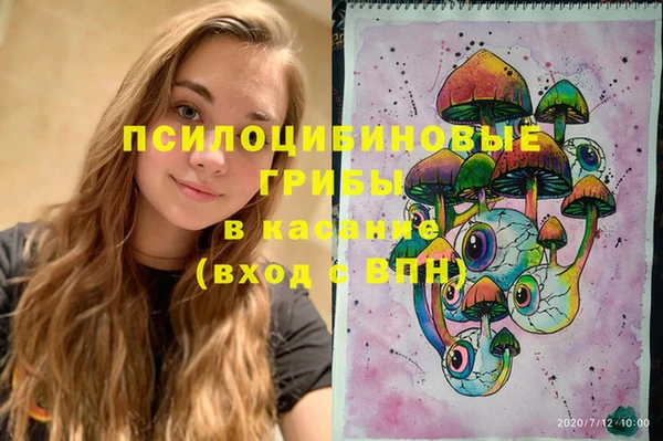 соль ск Вяземский