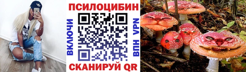 mega как зайти  хочу   Шуя  Псилоцибиновые грибы Psilocybe 