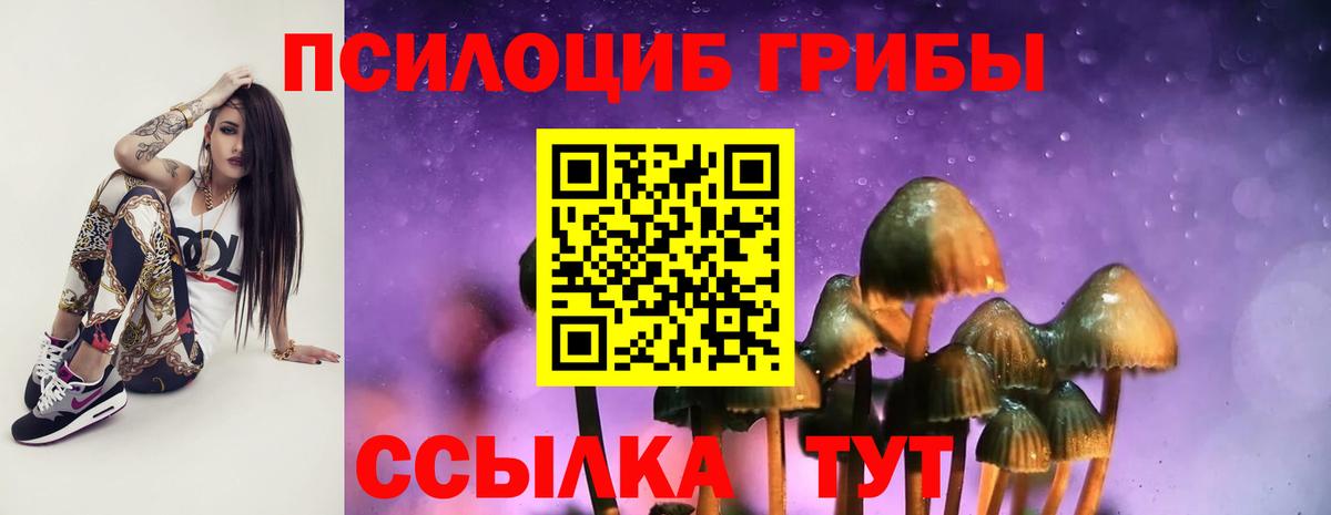 наркота  Галлюциногенные грибы ЛСД  Вход с VPN  Шуя 